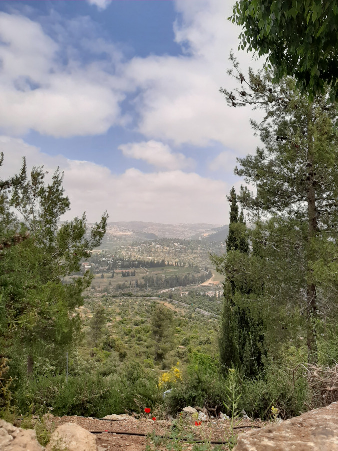 נוף מהדסה עין כרם