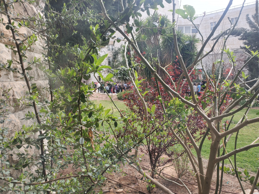 הפגנה יפה