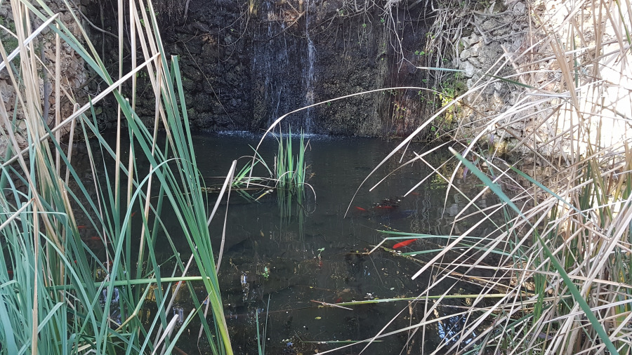 אקוסיסטם בגן הבוטני