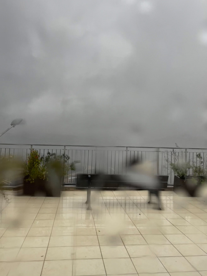 עשויים מסוכר