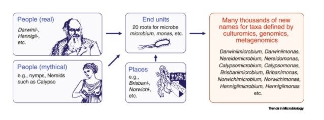 The Next Million Names for Archaea and Bacteria