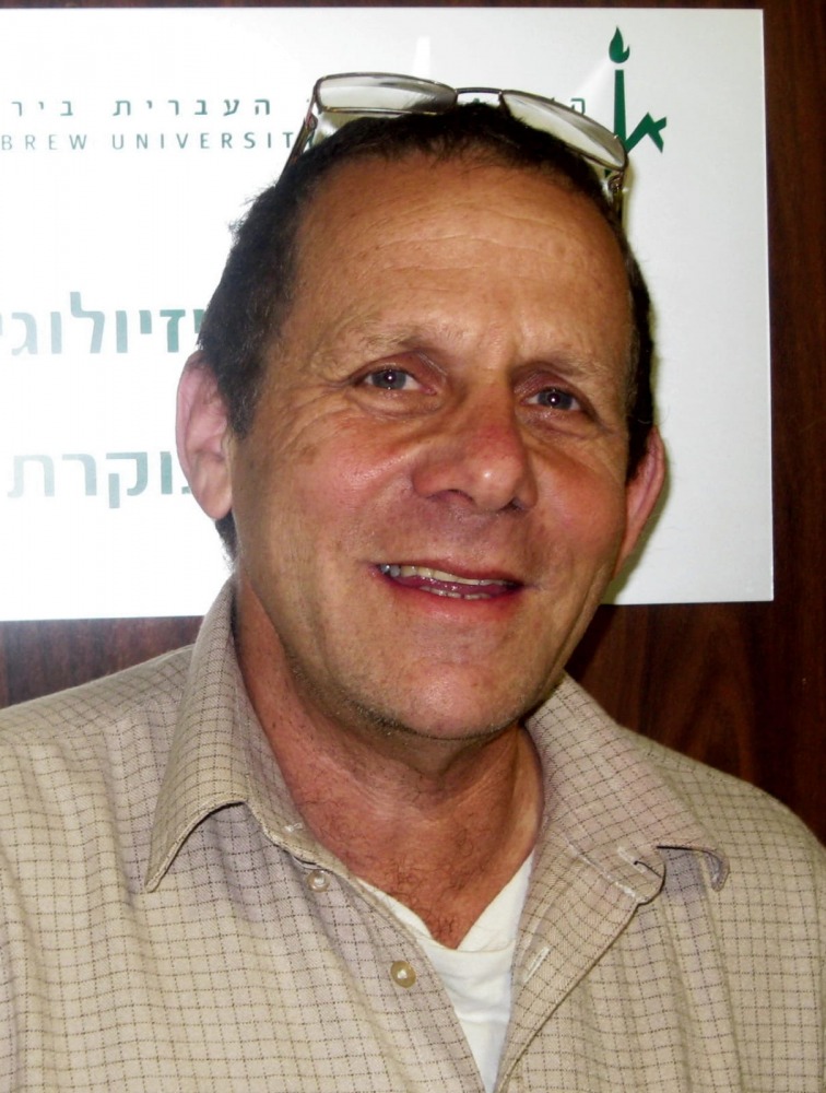 פרופ' חגי ברגמן