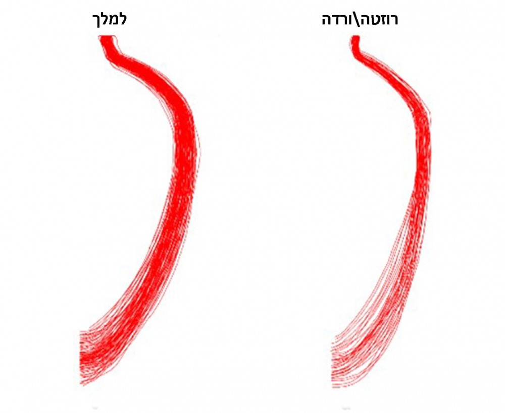 מתוך המאמר. פרופילים קרמיים של קנקני למלך לעומת קנקני רוזטה. צילום באדיבות דר אורטל הרוש ופרופ ליאור גרוסמן