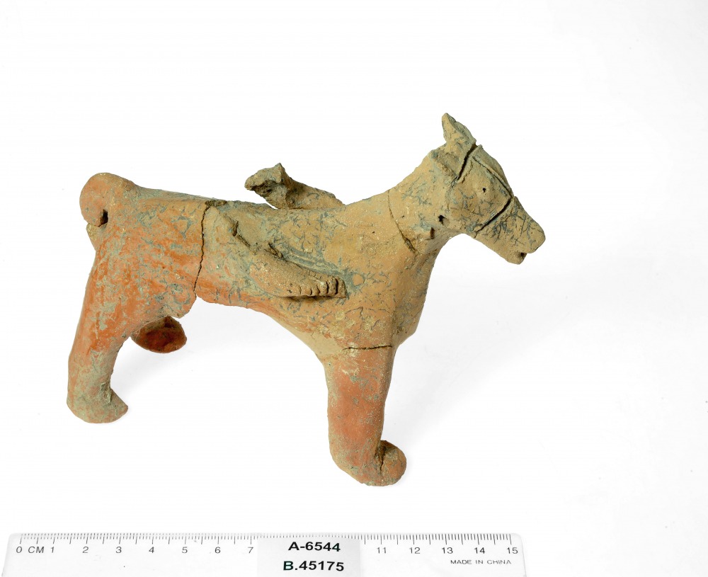 צלמית סוס ממקדש בתל מוצא מהמאה התשיעית לפנהס (קרדיט צילום קלרה עמית רשות העתיקות)