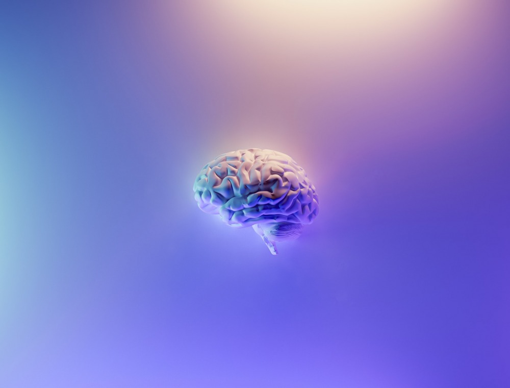 brain. by fakurian design, unsplash