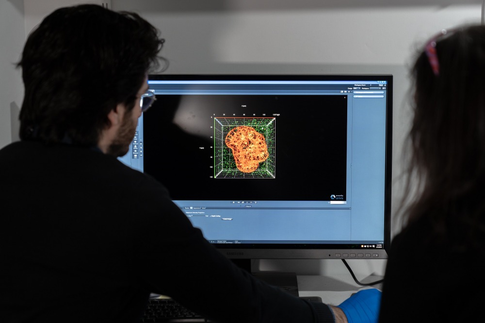 צילום: דניאל חנוך צילום: דניאל חנוך