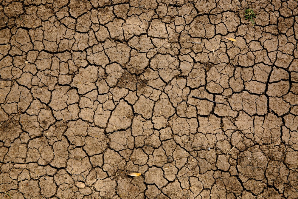 drought. Mike Erskine, unsplash