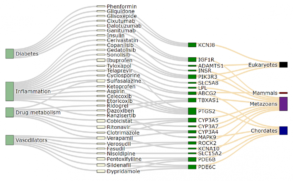 באיור: התרופות מקוטלגות לפי סוג מחלה