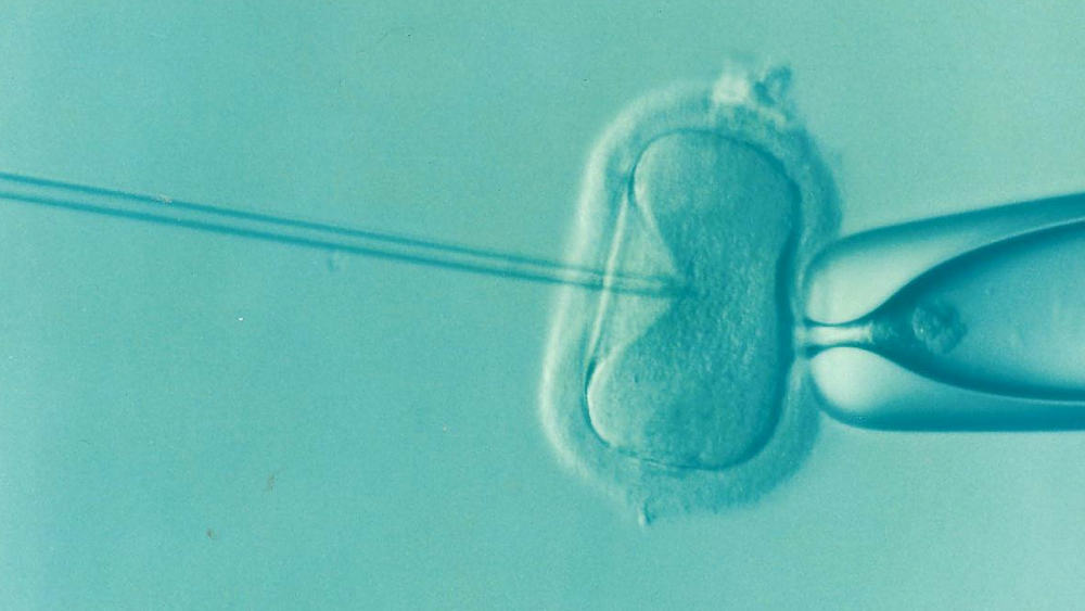 ivf. by maxpixel