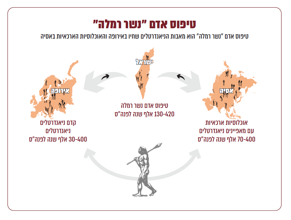 ציר זמנים נשר רמלה