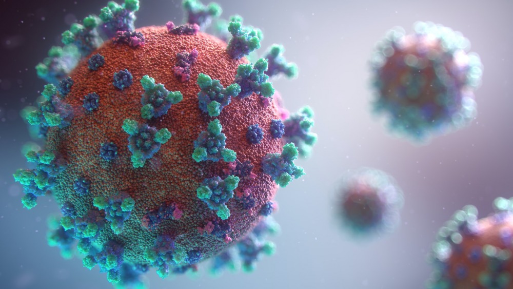 New visualisation of the Covid-19 virus. photo by Fusion Medical Animation, Unsplash