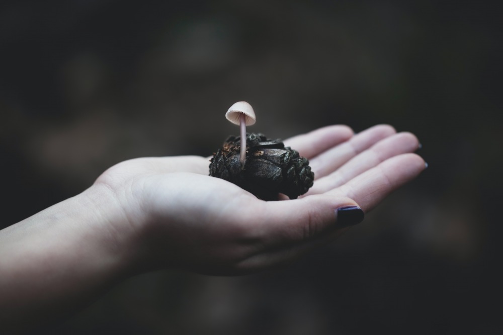 Önder Örtel, unsplash