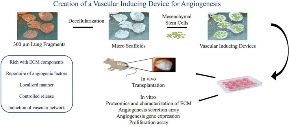 תרשים זרימה של ייצור ההתקן והאנליזות השונות שנעשו בעבודה זו