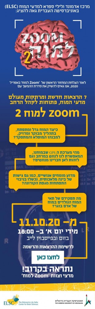 סדנה
