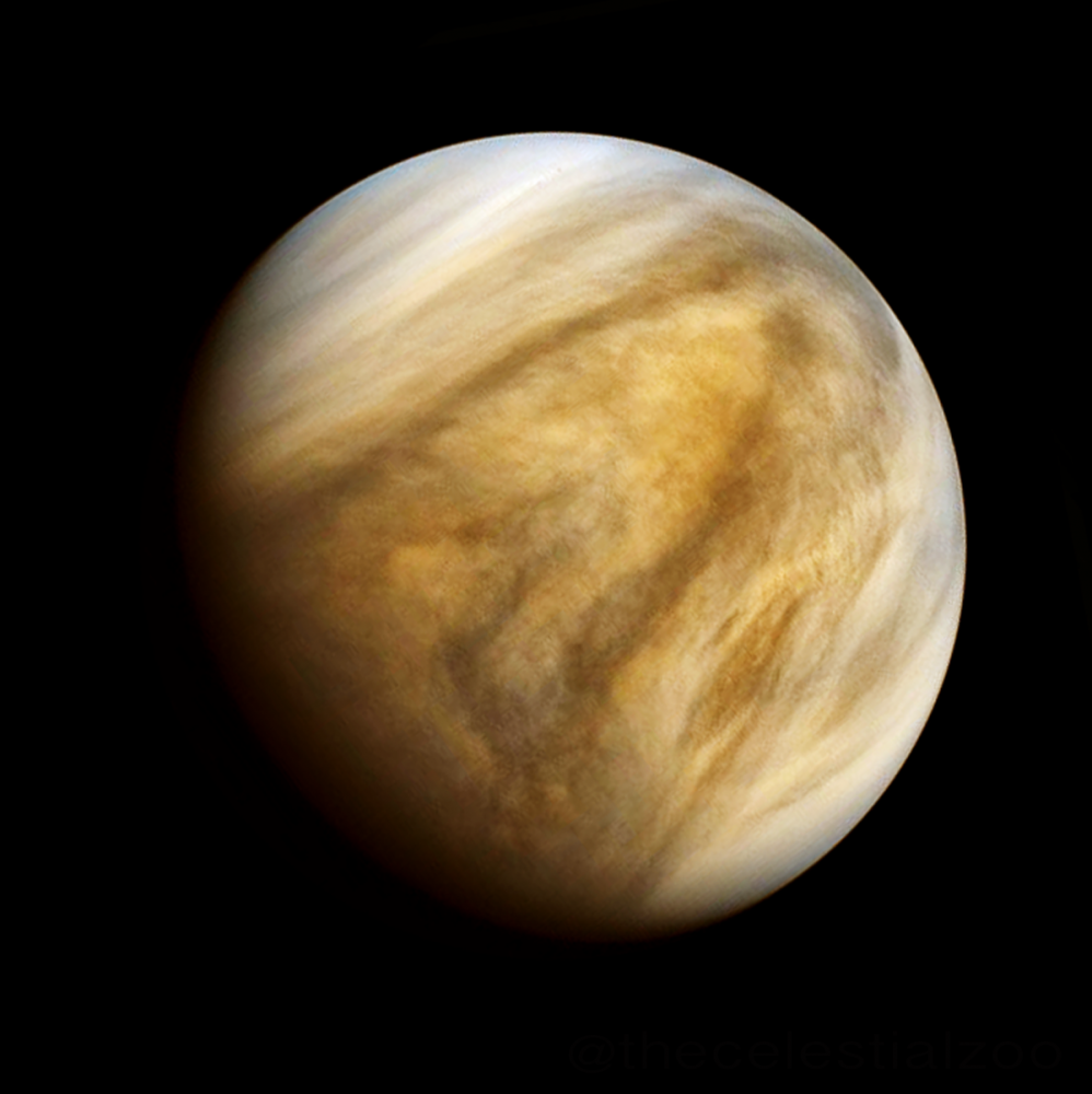 Venus by Pablo Carlos Budassi