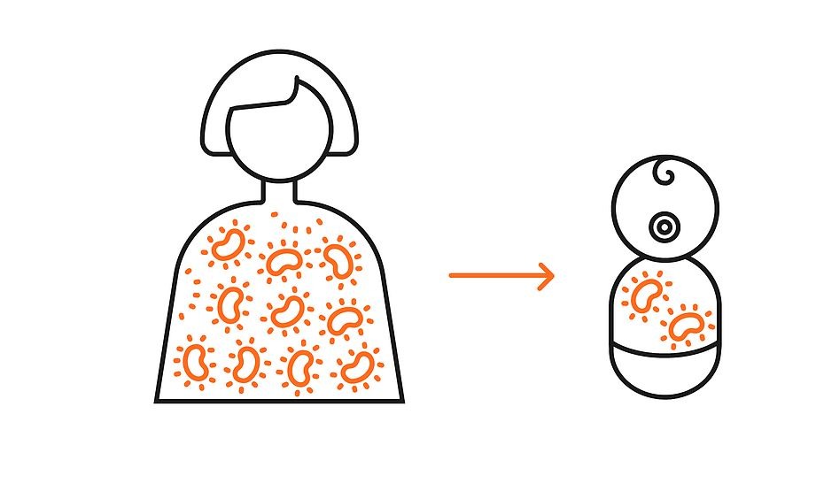 מתוך האתר של דר מורן יסעור, yassourlab