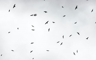 cristina-gottardi-ufrmc7o9ci8-unsplash