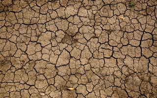 drought. Mike Erskine, unsplash