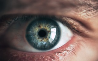 eye. Victor Freitas, unsplash