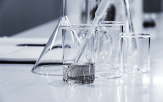 hans_reniers_unsplash
