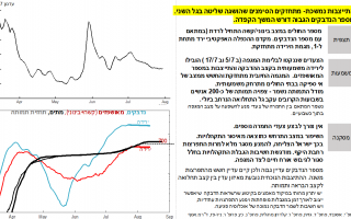 הושגה שליטה על הגל השני של הקורונה - חלק מדוח החוקרים
