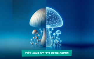 יום פתוח בפקולטה לחקלאות, מזון וסביבה - 21.3.2025