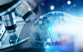 DNA