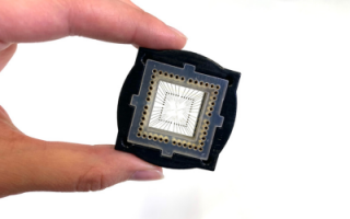 Hand with Microchip