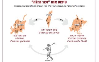 ציר זמנים נשר רמלה