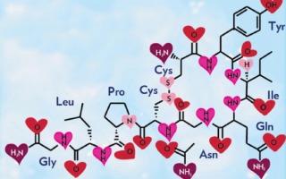stylized molecule of oxytocin