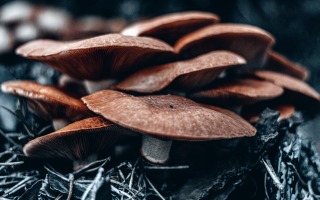 Vadym Alyekseyenko, unsplash