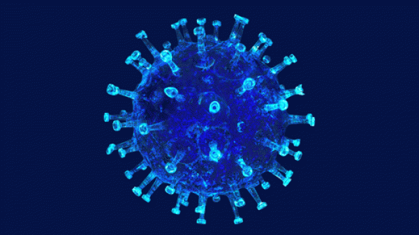 3d corona gif, by Matthew Butler, giphy