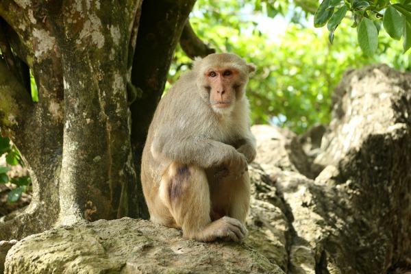 alyssa_arre alyssa_arre