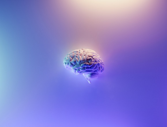 brain. by fakurian design, unsplash