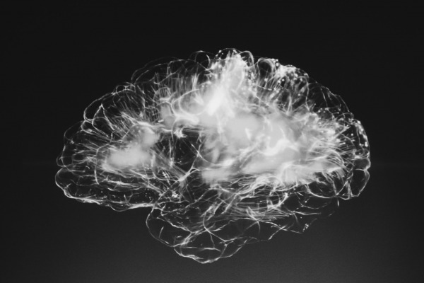brain. Alina Grubnyak unsplash