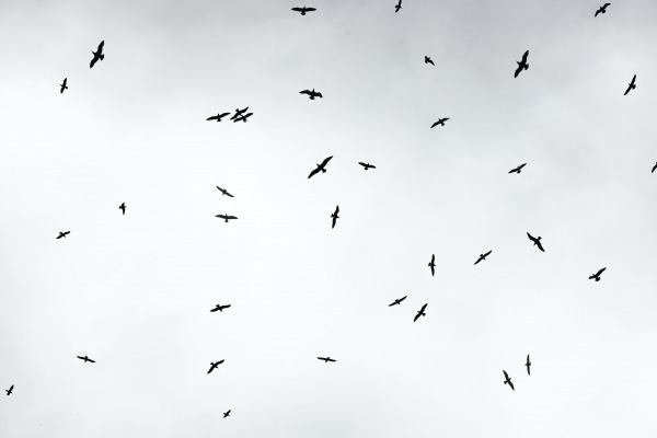 cristina-gottardi-ufrmc7o9ci8-unsplash