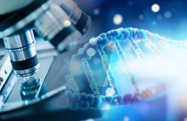 DNA