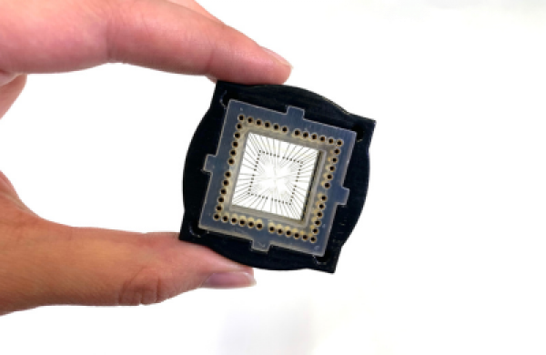 Hand with Microchip