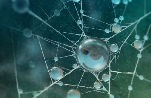 הדמייה של חלל בתוך ביצית ובה טיפת טל כדימוי לעיבוי מולקולרי‏, מעיין וז’ואלס (מעיין הראל)‏