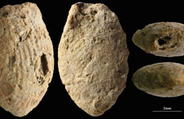 לפני 15000 שנה ילדים יצרו חרוזי חימר