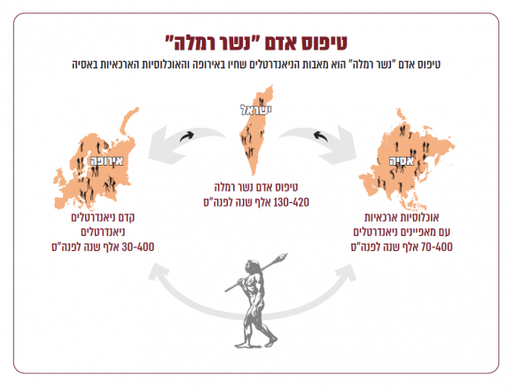ציר זמנים נשר רמלה
