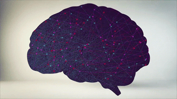 neurons_by_giphy