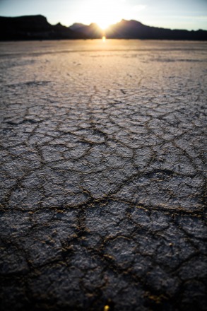 Photo by Patrick Hendry on Unsplash