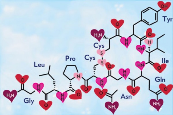 stylized molecule of oxytocin