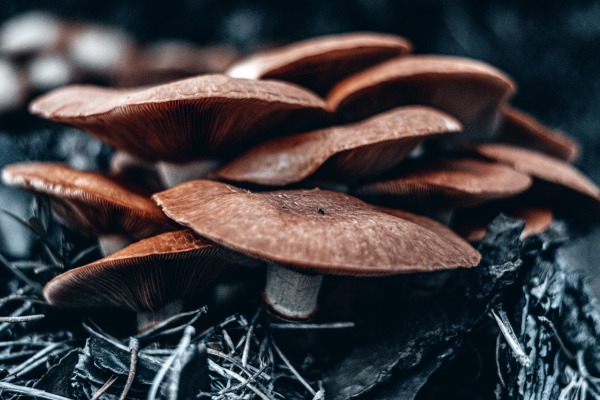 Vadym Alyekseyenko, unsplash Vadym Alyekseyenko, unsplash