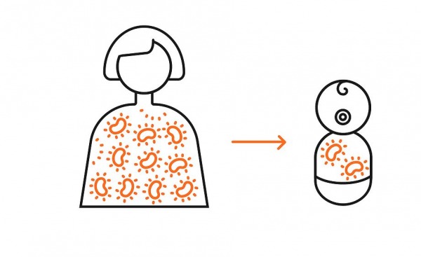 מתוך האתר של ד"ר מורן יסעור, yassourlab