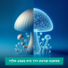 יום פתוח בפקולטה לחקלאות, מזון וסביבה - 21.3.2025