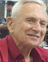 חיים לבנה זל