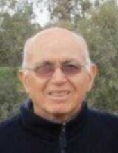 עמירם קופר זל
