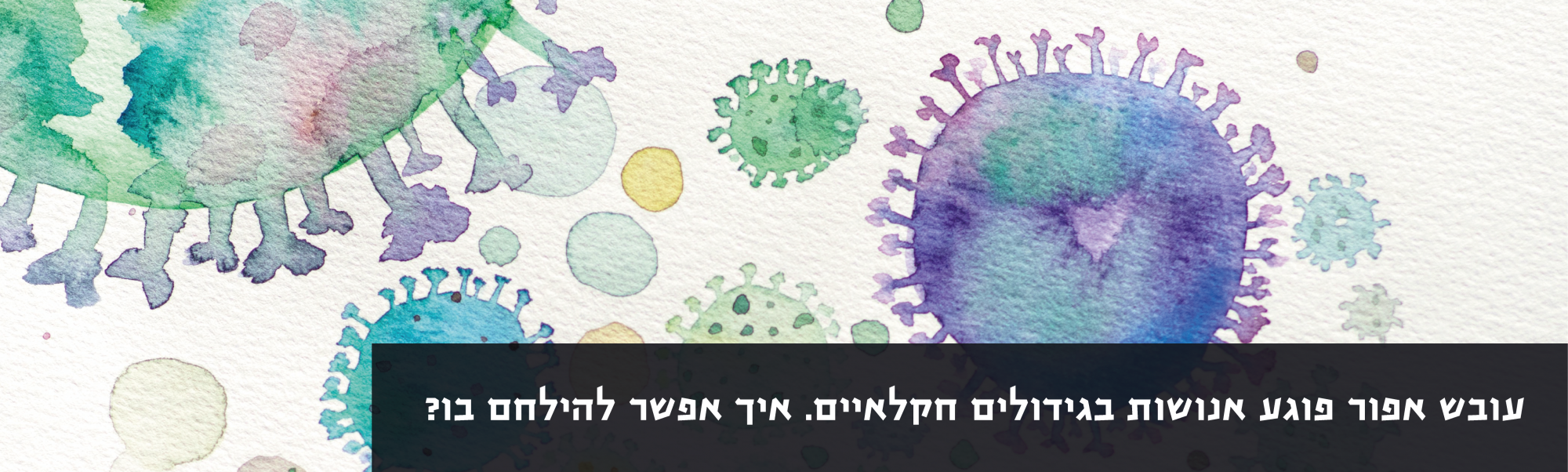 עובש אפור פוגע אנושות בגידולים חקלאיים. איך אפשר להילחם בו?